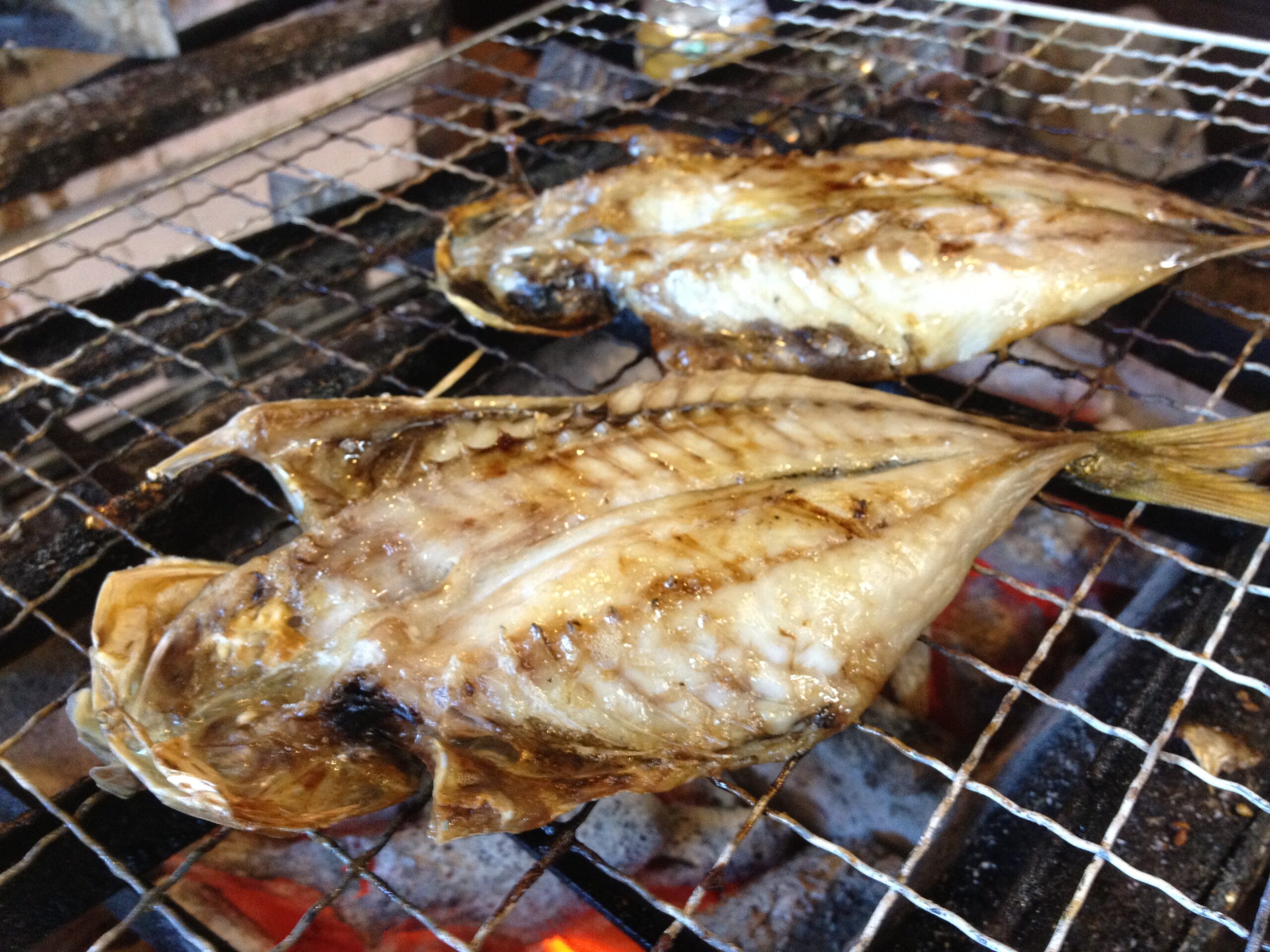 mamp Himono seafood shimoda